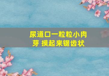 尿道口一粒粒小肉芽 摸起来锯齿状